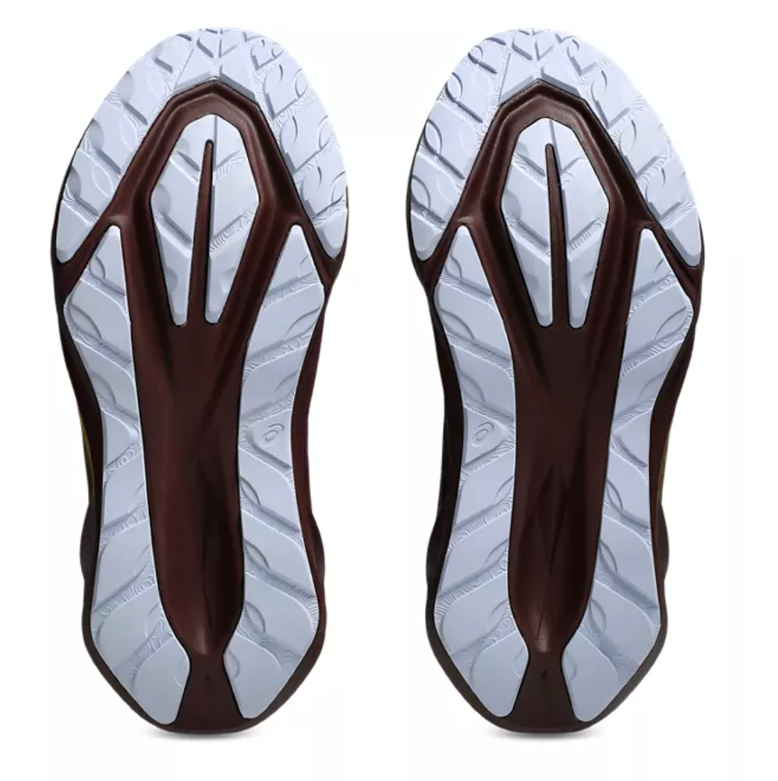 Asics Women's NOVABLAST 5 TR - Nature Bathing / Rubble Red