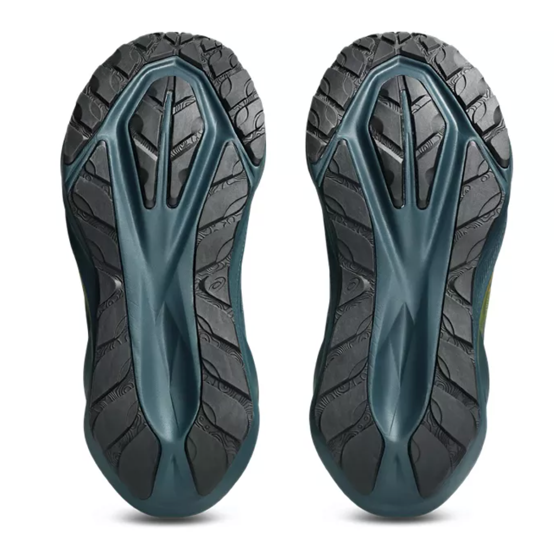 Asics Men's NOVABLAST 5 TR - Nature Bathing / Lichen Rock