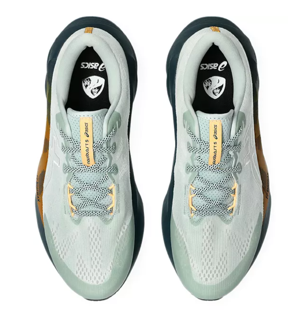 Asics Men's NOVABLAST 5 TR - Nature Bathing / Lichen Rock