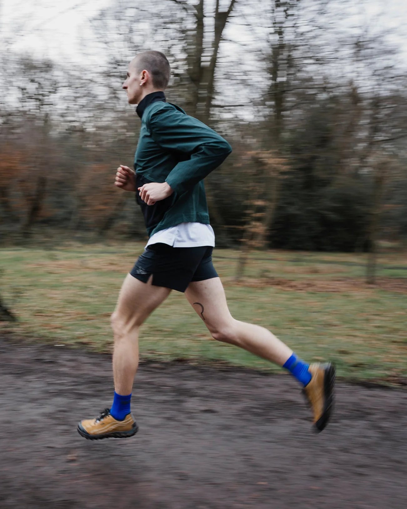 sums All Season Sock - Blue