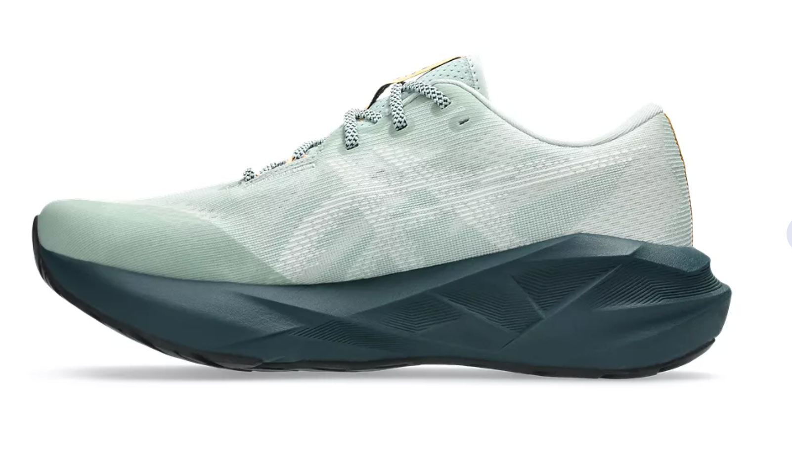 Asics Men's NOVABLAST 5 TR - Nature Bathing / Lichen Rock