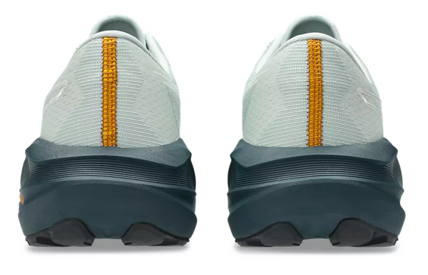 Asics Men's NOVABLAST 5 TR - Nature Bathing / Lichen Rock