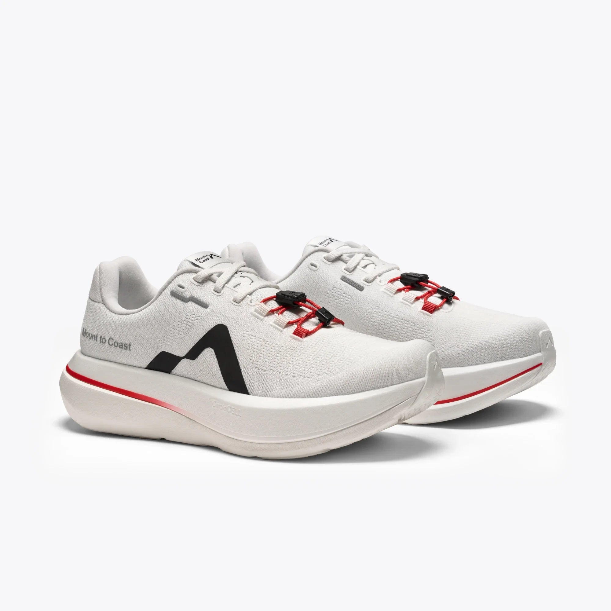 Mount to Coast M's C1 - Pulse