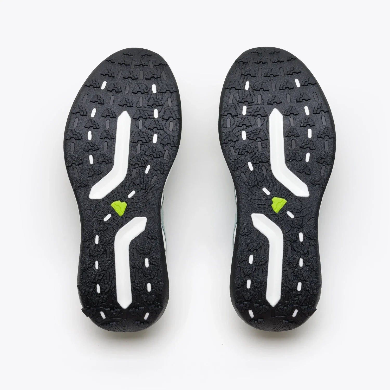 Mount to Coast Men's H1 - Everglades